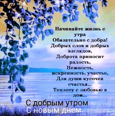 Пин от пользователя Светлана на доске С добрым утром | Доброе утро,  Картинки, Открытки