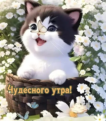 Открытки "Доброе утро!" (700+)