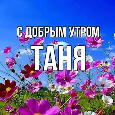 Открытка с добрым утром Таня (скачать бесплатно)