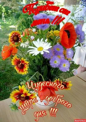 Таня Ст. | Good morning, Floral wreath, Flowers