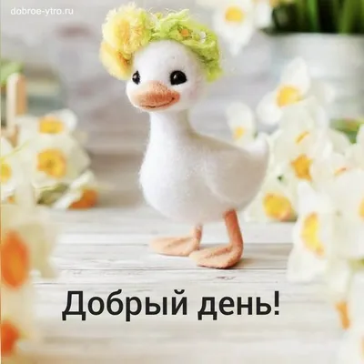 С добрым утром Источник: группа вКонтакте "Что Происходит…: severodvinsk —  LiveJournal