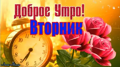 ☕ Доброго Утра Вторник! Красивая Песня С Добрым Утром Хорошего Дня Видео  открытка Удачного Вторника - YouTube