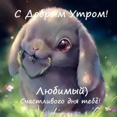 ❤️❤️❤️ Доброе утро, любимая ❤️❤️❤️ Самое красивое пожелание С ДОБРЫМ УТРОМ  для ЛЮБИМОЙ! - YouTube