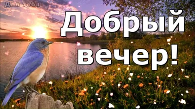 25 Доброго вечора ideas | доброго ранку, листівка, цитати