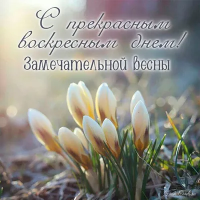 Хорошего воскресного денечка открытка - 80 фото