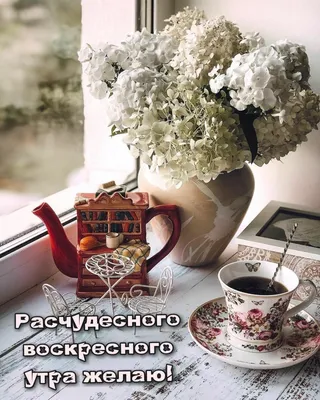 С Добрым Утром Воскресенья! 🌸☕️С Добрым Воскресным Днем! ХОРОШЕГО  НАСТРОЕНИЯ на весь день! - YouTube