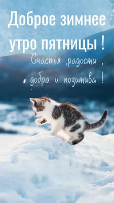 Доброе зимнее утро! | Удивительная природа, Утро пятницы, Доброе утро