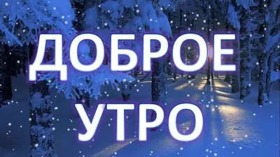 Картинки "С добрым зимним утром!" скачать бесплатно (475 шт.)