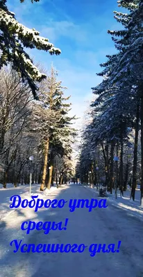 Зимние картинки Доброе утро (70 штук)