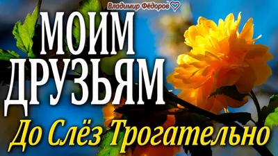 Мудрые позитивные открытки (о жизни, счастье, о благодарности)