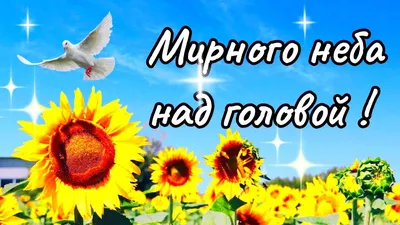 Его имя и улыбку помнят все»: депутаты-космонавты о Юрии Гагарине