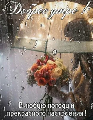 Дождь за окном.... Обсуждение на LiveInternet - Российский Сервис  Онлайн-Дневников