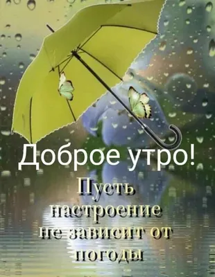 Картинка доброе утро осень и дождь | Доброе утро, Осень, Смешные открытки