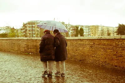 Удивительная экскурсия под зонтом: художники, влюбленные в город и дождь -  Зонты оптом