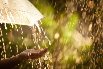Как влияет дождь на настроение людей? | SalamNews