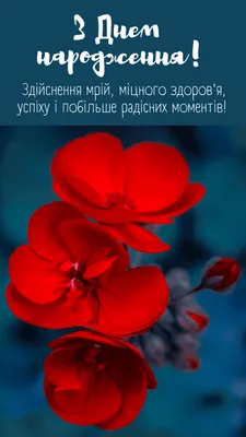 Поздравления с днем рождения подруге – поздравления подружке с ДН в прозе и  картинках