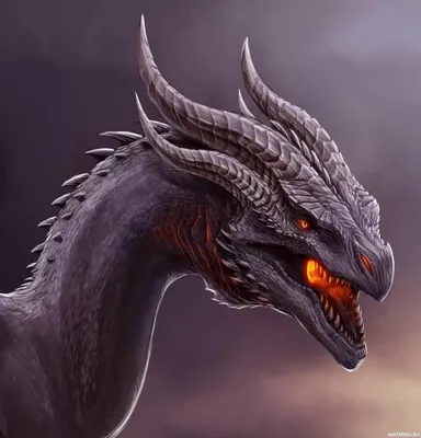 Драконы | Dragon Age Wiki | Fandom