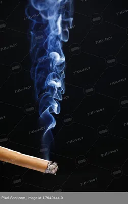 Дым сигарет с ментолом пьяный угар…» — создано в Шедевруме