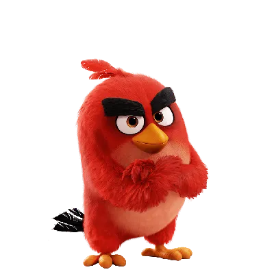 Конец эпохи: легендарную игру Angry Birds удалят из Google Play уже 23  февраля