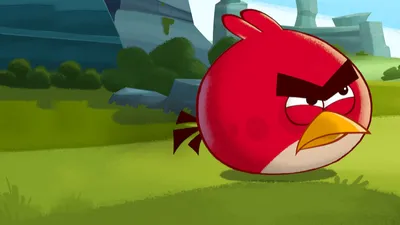 MultiVersus Red from Angry Birds!!! by KrimaDraws on DeviantArt