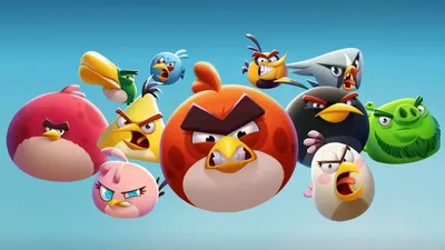 Watch Angry Birds | Netflix