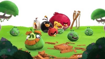 Angry Birds | Espoo