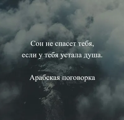 Очень мудрые слова». Хабиб обратил внимание подписчиков на философское  высказывание - Чемпионат