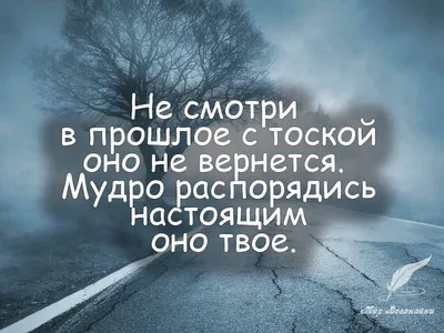 В парке имени Бориса Лосева появились таблички с философскими цитатами