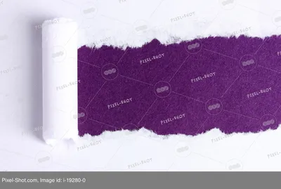 Рваная бумага с фиолетовым фоном :: Стоковая фотография :: Pixel-Shot Studio