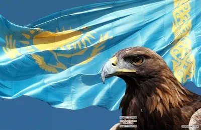 Флаг Казахстана PNG , круглый, страна, флаг казахстан PNG картинки и пнг  рисунок для бесплатной загрузки
