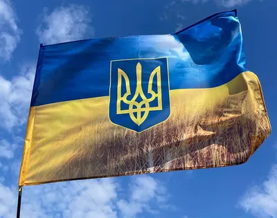 Флаг Украины 90*135 купить в интернет-магазине Военторг ДиСи, цена в Киеве,  Харькове, Украине