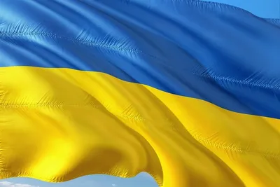 Флаг Украины, 14х21 см, "УКРАИНА" – купить оптом в интернет-магазине  