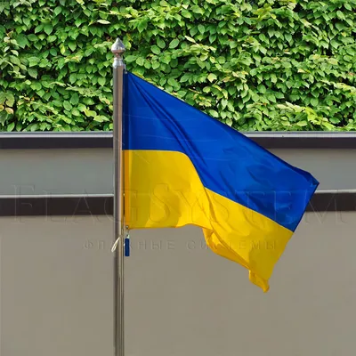 Что означают цвета флага Украины: интересные факты о государственном  символе - МЕТА