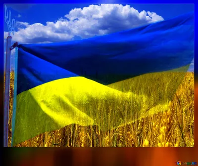 Виниловая наклейка "Флаг Украины"