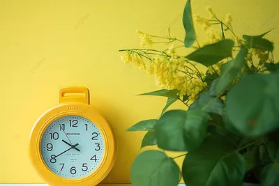 желтые настенные часы рядом с флорой, день, календарь, офисные  принадлежности фон картинки и Фото для бесплатной загрузки