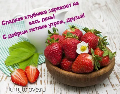 Пин от пользователя Ольга Ти на доске Дни недели | Утро четверга, Четверг, Доброе  утро