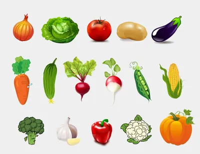 фрукты и овощи фотографии PNG , овощи клипарт, зеленые овощи, скачать фото  PNG картинки и пнг PSD рисунок для бесплатной загрузки