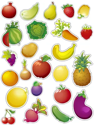 Игра на магнитах "Фрукты, овощи, ягоды" 24шт - купить с доставкой по  выгодным ценам в интернет-магазине OZON (178875607)