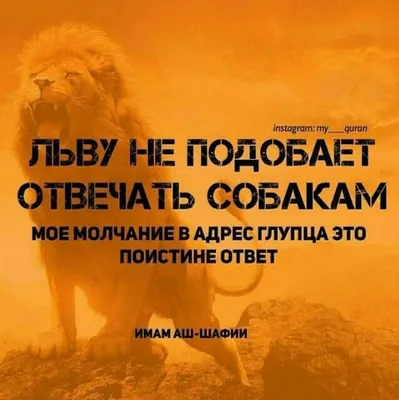 Тиньков обиделся и назвал Яндекс "гавном" в письме сотрудникам |  DesireInvest | Дзен