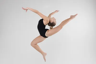 30 фото с белками-гимнастками, которые показывают их гибкость