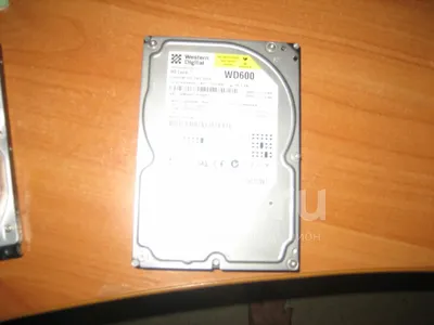 western digital WD600 с глюками. — купить в Красноярске. Состояние: Б/у.  Жёсткие диски на интернет-аукционе 