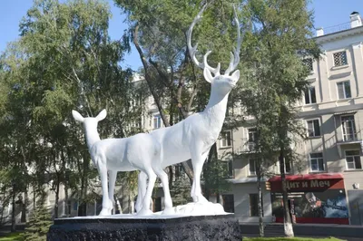 К оленям” за алкогольными глюками - Кузнецкий рабочий