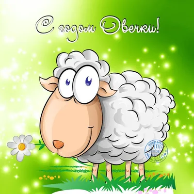 Год Козы (Овцы): краткий обзор и фотографии с символом года