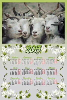 С годом Овцы (Козы), Господа!