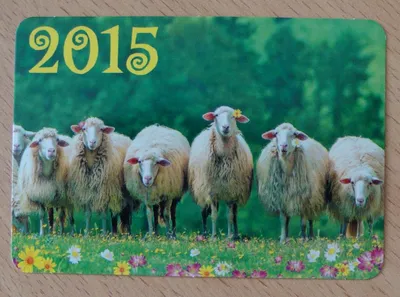 раскраски новый год козы и овцы распечатать, картинки раскраски новый год  козы и овцы
