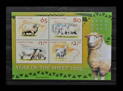 Новый Год, Овцы: поздравления, приколы, истории, примеры подарков, фото и  видео — Лучшее, страница 3 | Пикабу