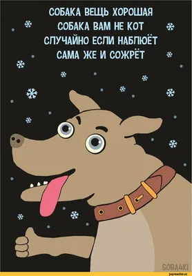 с новым годом собаки / смешные картинки и другие приколы: комиксы, гиф  анимация, видео, лучший интеллектуальный юмор.