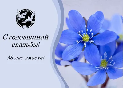 12 лет свадьбы (никелевая свадьба): что дарят, как отмечается. Подробное  описание традиций в праздновании 12 лет совместной жизни