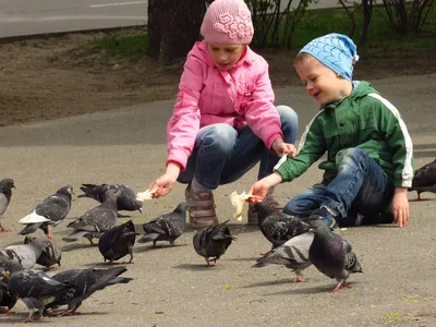 дети и голуби | А дети в нашем городе очень добрые....вчера … | Flickr