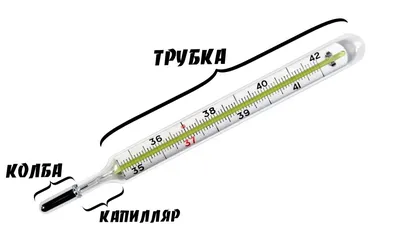 Сколько нужно мерить температуру ртутным градусником? | Бердск-Онлайн СМИ |  Дзен